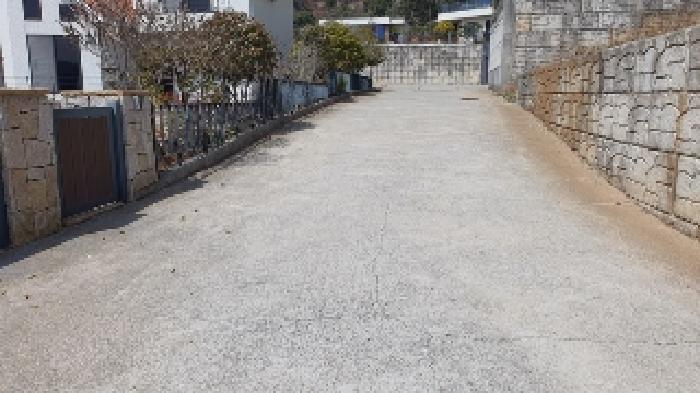 사진 10