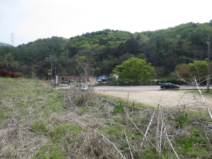 사진 15