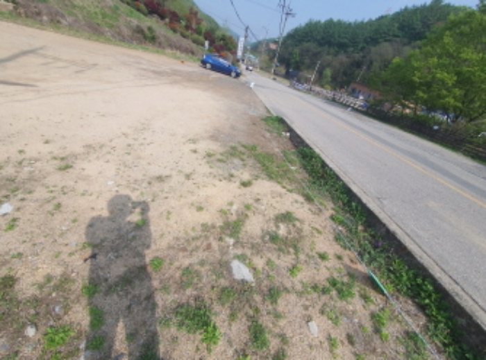 사진 5