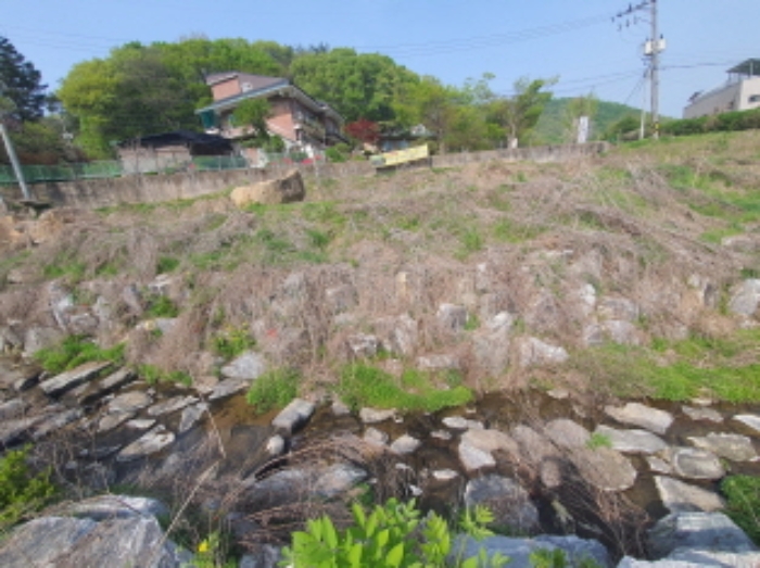 사진 6