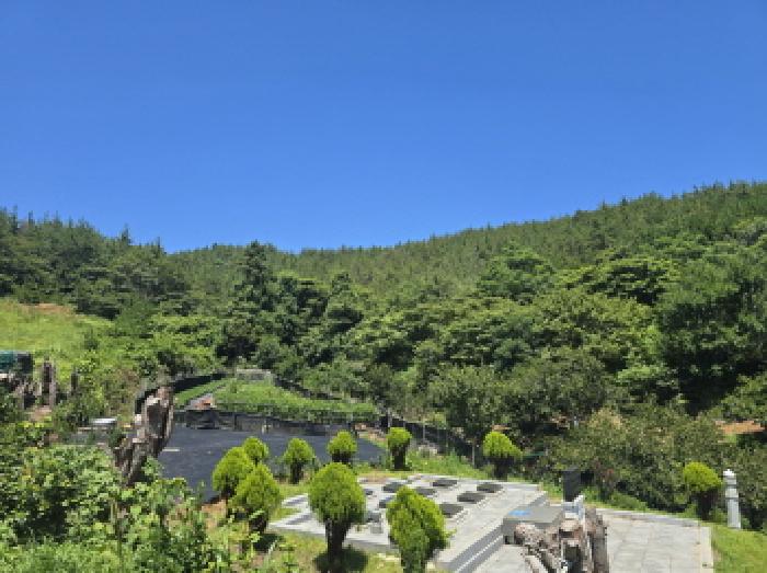 사진 16