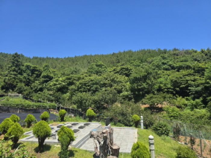사진 17