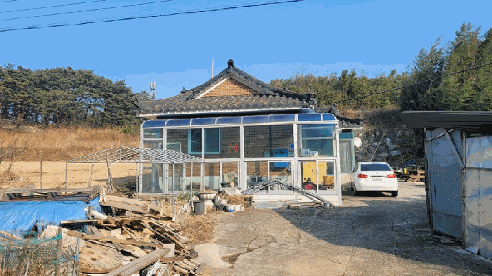사진 3