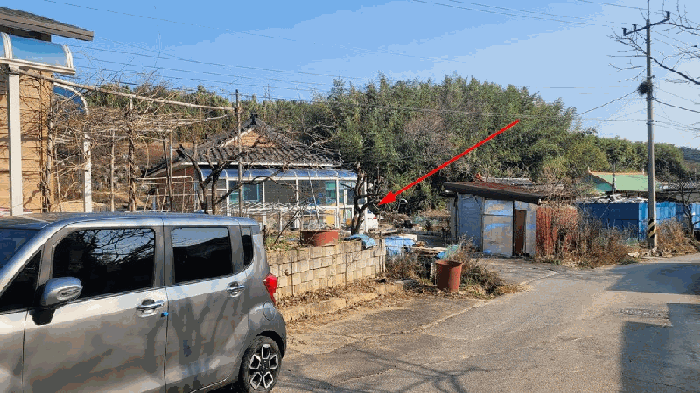사진 6