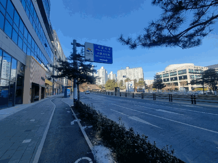 사진 6