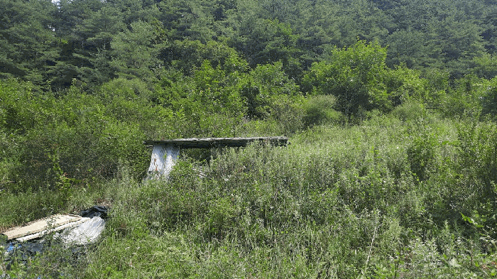 사진 1