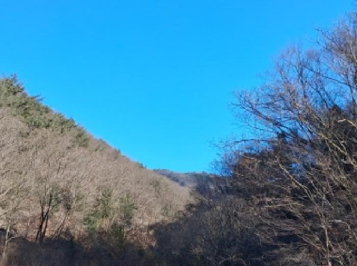 사진 2