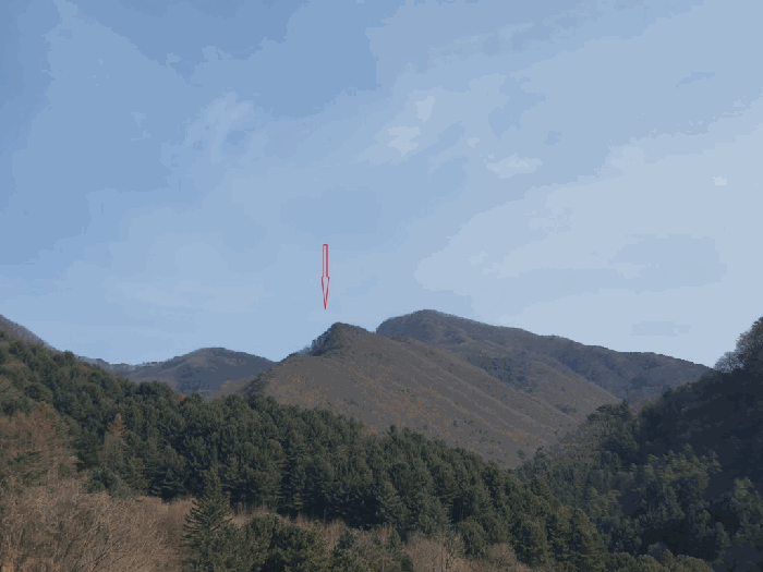 사진 3