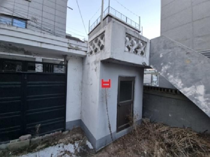 사진 11