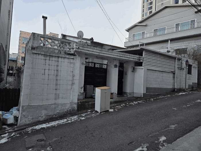사진 12