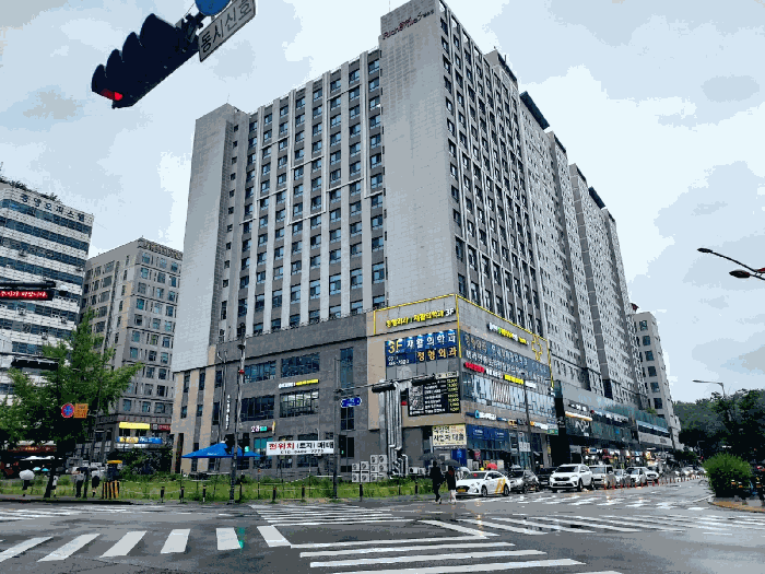 사진 5