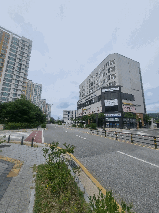 사진 10
