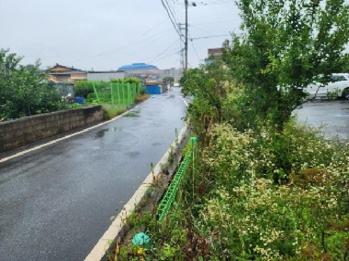 사진 27