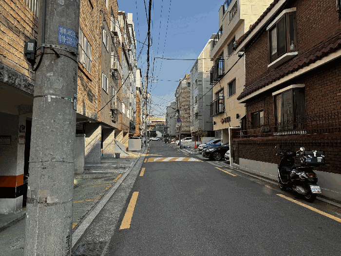 사진 12