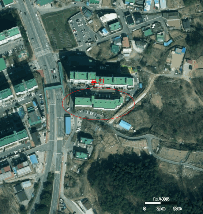 사진 12