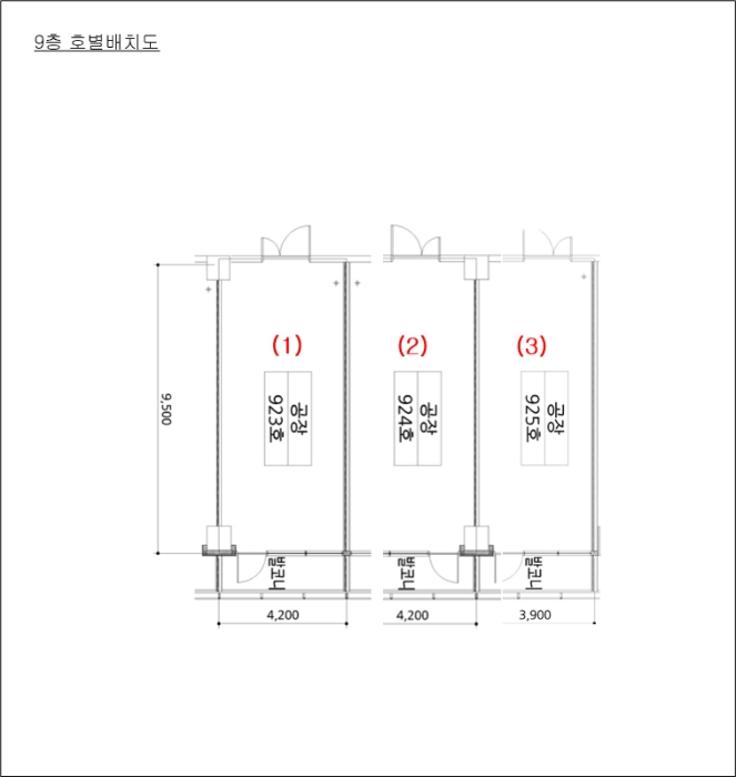 사진 19