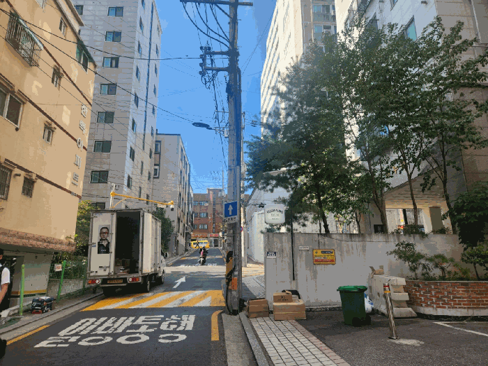 사진 10