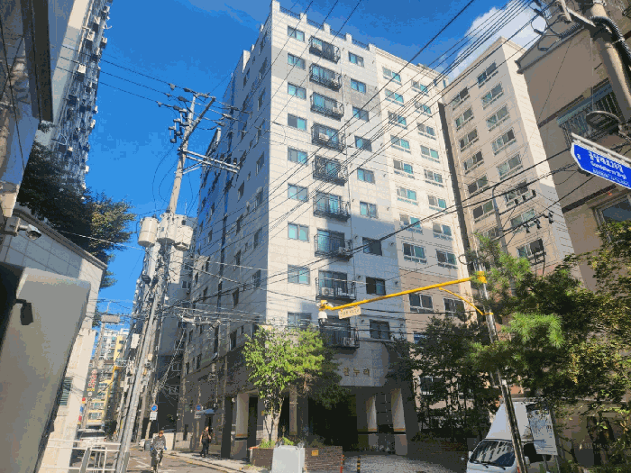 사진 11