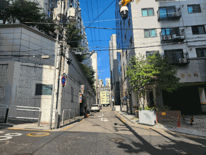 사진 7