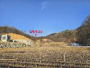 사진 1