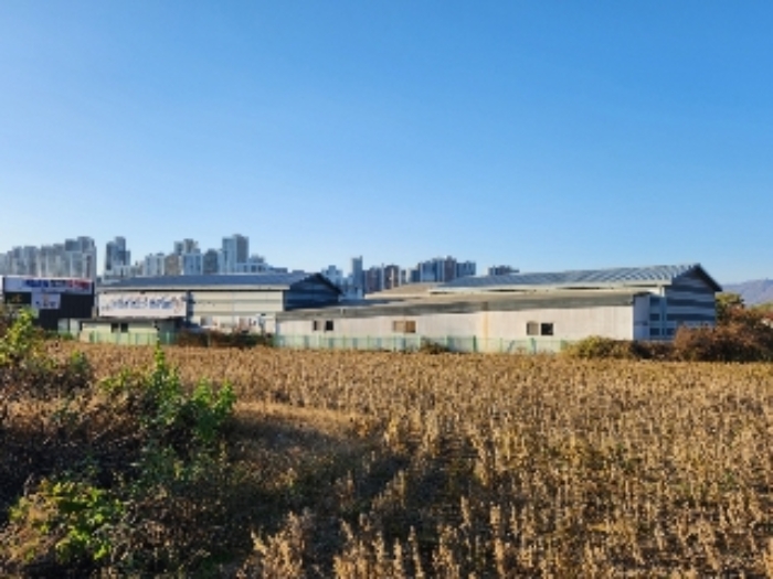 사진 5