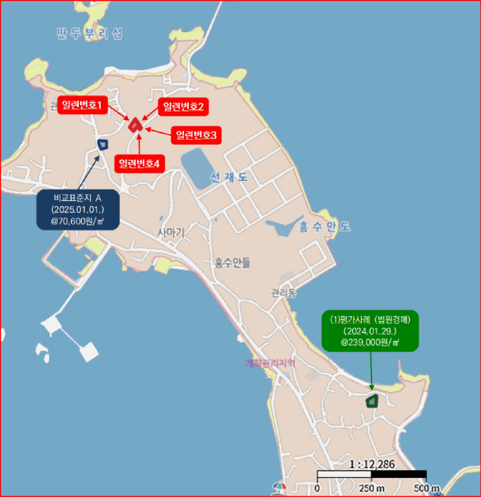 사진 9