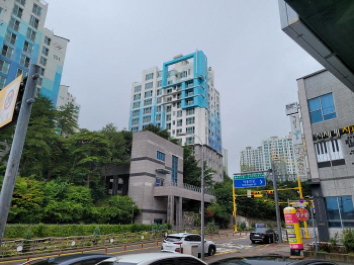 사진 1