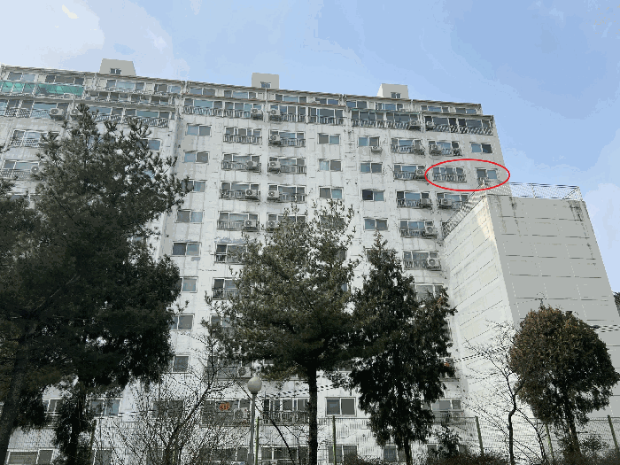 사진 7