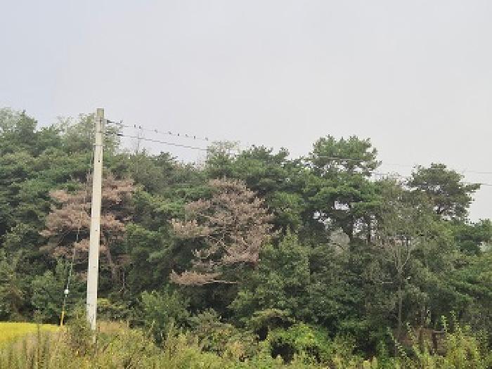 사진 11