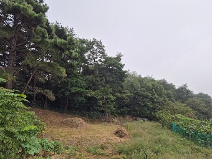 사진 7