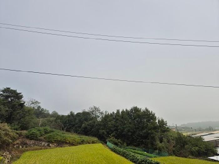 사진 8
