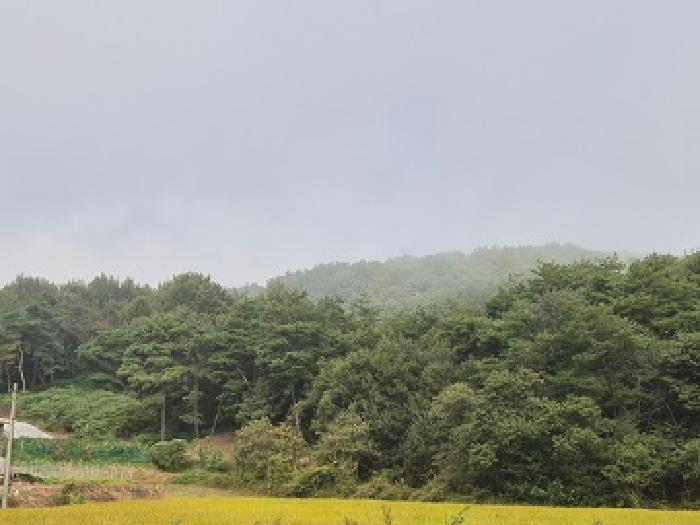 사진 10