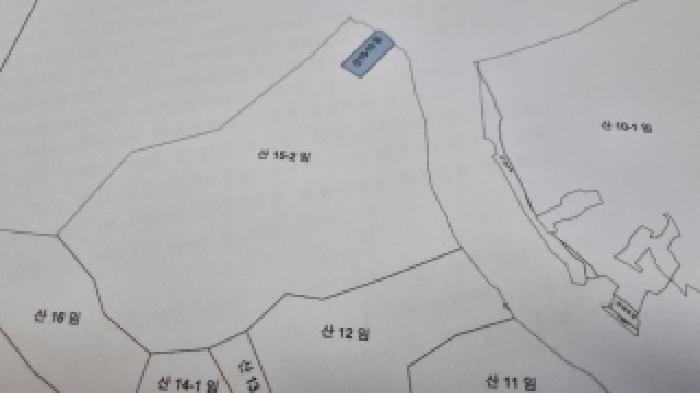 사진 2