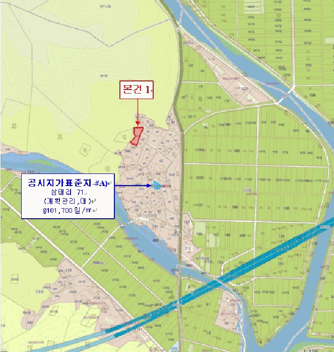 사진 10