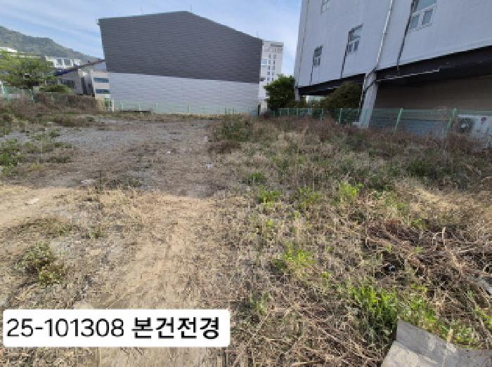 사진 9