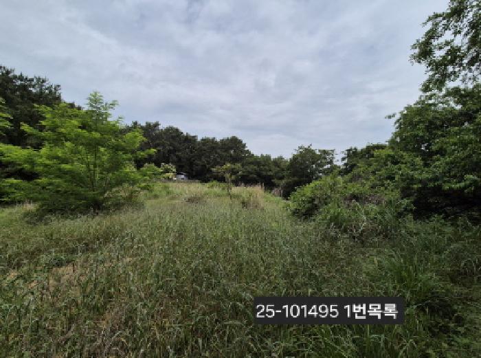 사진 1