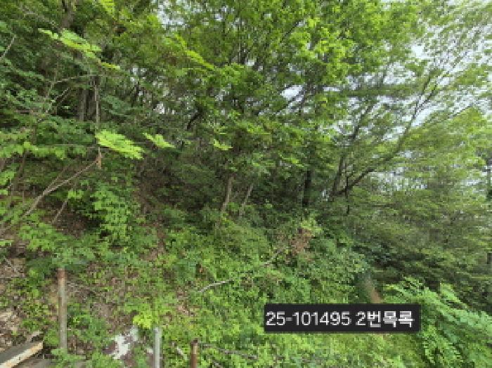 사진 3