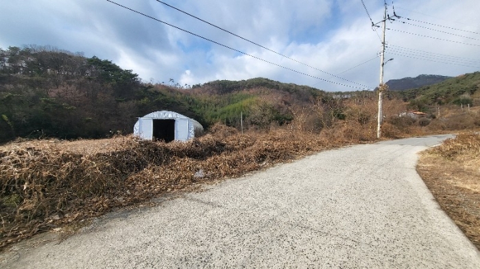 사진 1