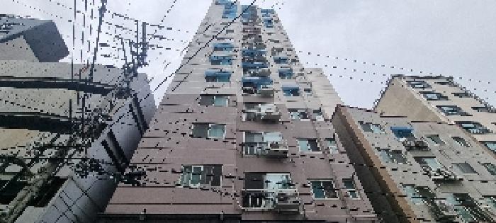 사진 1