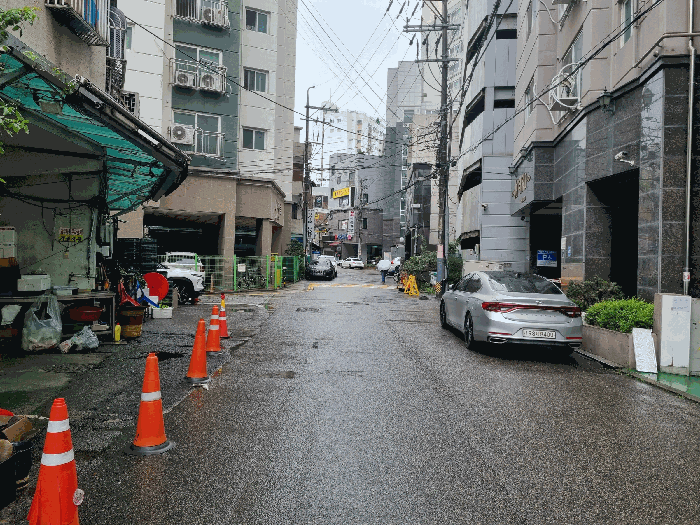 사진 12