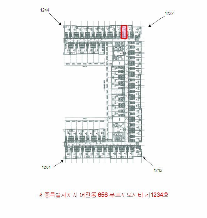 사진 10