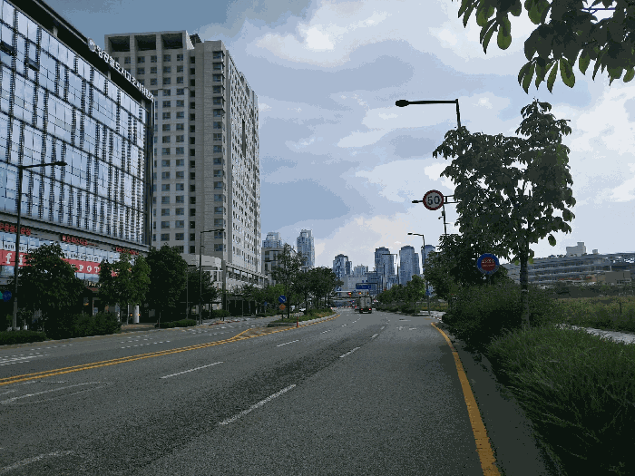 사진 11