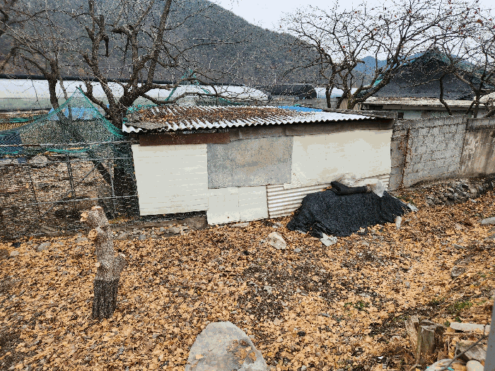 사진 12