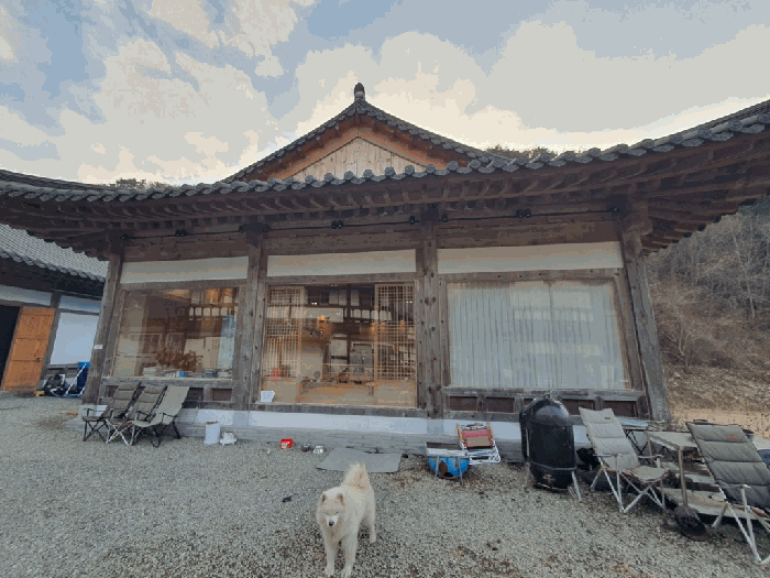 사진 21