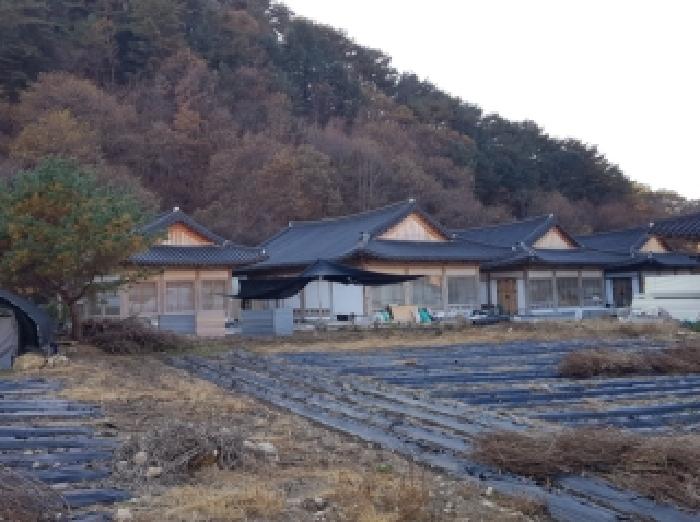 사진 9