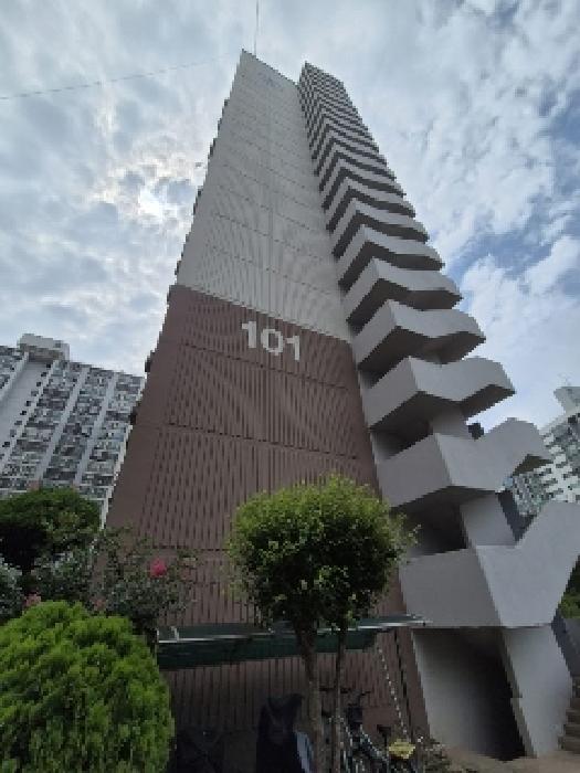 사진 10