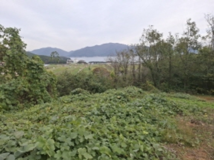 사진 3