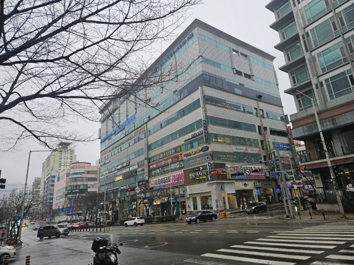사진 5