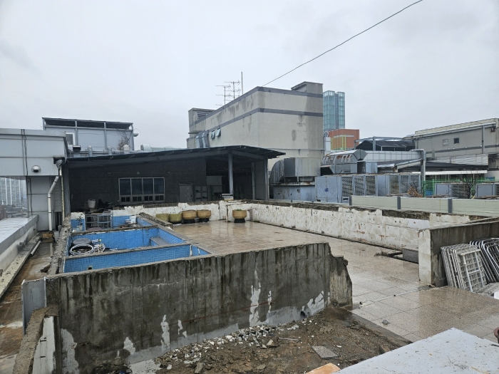 사진 10