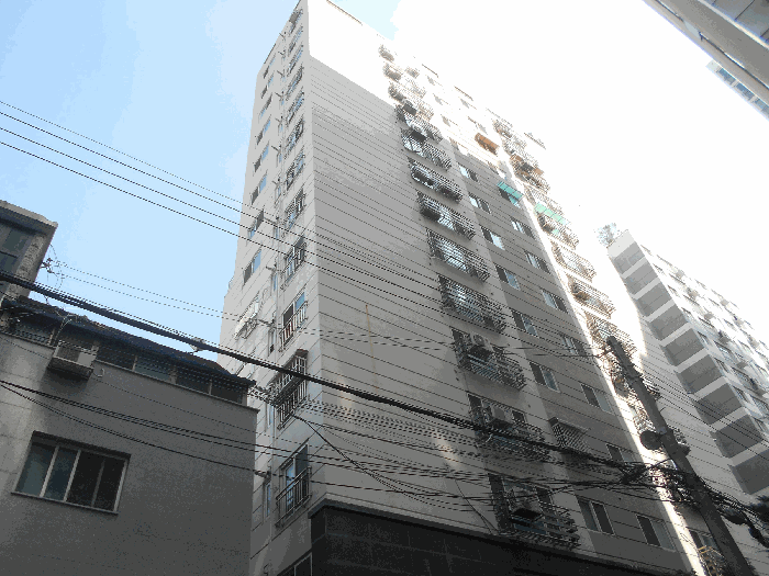 사진 10